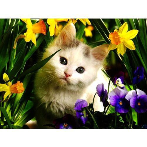 Cat Animal DIY Crystal 5D full plastic diamond painting embroidery machine glue cross stitch kit art 3D mosaic square rhinestone