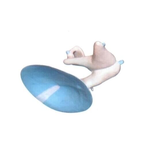 Otosteon Magnified model Human ear organ Teaching demonstration model 21*15*21cm free shipping