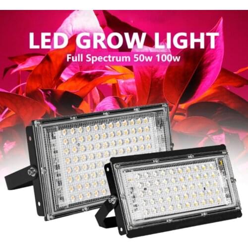 Full Spectrum LED Grow Light With Stand AC180-220V Phyto Lamp With On/Off Switch For Greenhouse Hydroponic Plant Growth Lighting