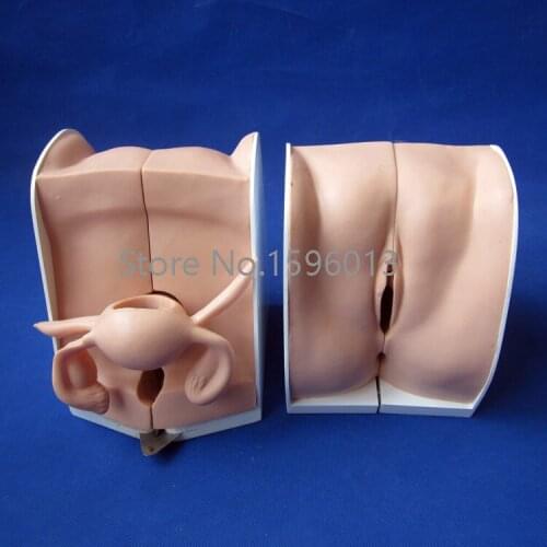 Advanced Contraception Guidance Model,Contraceptive guidance