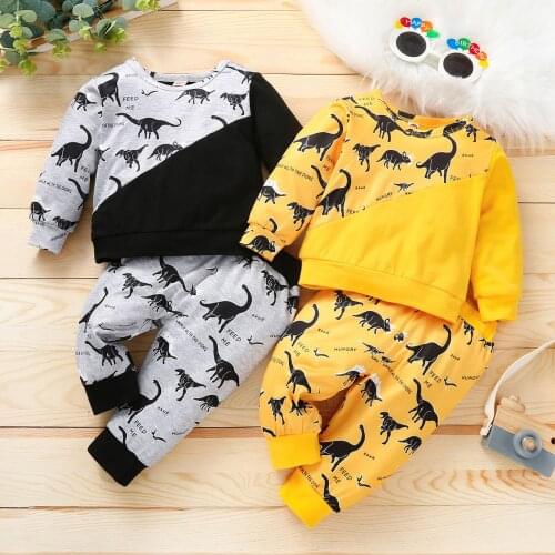 2021 New Autumn Baby Clothes Sets Toddler Baby Girl Boy Dinosaur Print Long Sleeve Pullover Sweatshirt Tops+Pants Outfits