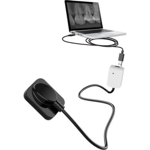 Dental Digital Image RVG XRAY X-Ray Sensor For Dental Clinics Veterinary Clinics Size 2