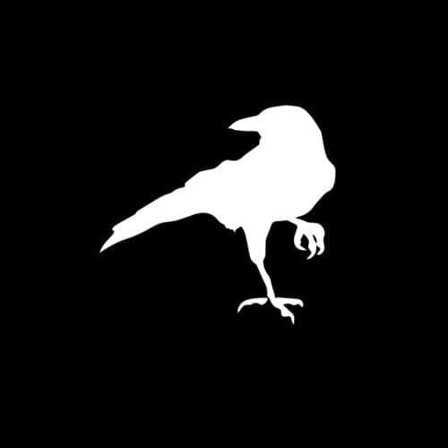 Crow Raven bird Decal Window Sticker 15cm