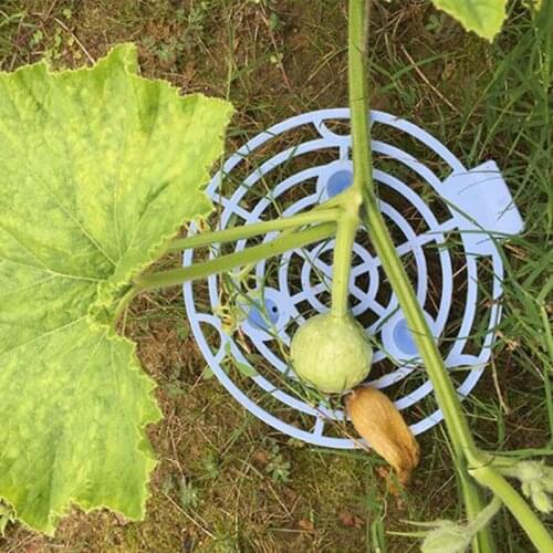 Watermelon Tray Fruit Tray Plant Planting Seedling Tray Rack Gardening Supplies 2021 New garden accessories melon tray plant