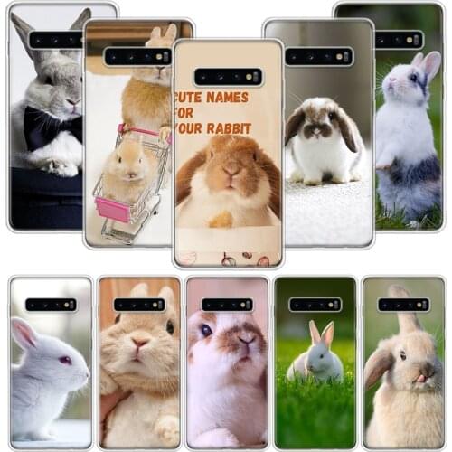 Cute Animal Rabbit Phone Case For Samsung Galaxy S10 S20 S21 S9 S8 S7 Note 10 20 9 8 FE J4 J6 Ultra Plus Lite Pro + Edge Cover