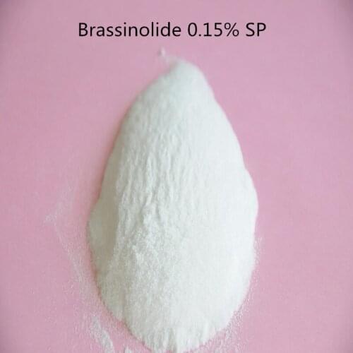 10 gram Water soluble Brassinolide 0.15% SP Natural Brassinolide 0.1%SP Low price high quality