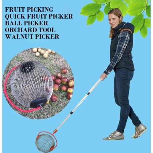 Walnuts Chestnuts Harvester Roller Nut Collector Retractable Aluminum Alloy Ball Garden Fruit Picker Family Orchards Tool