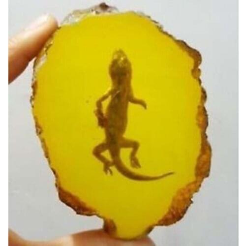 Beautiful Amber Cabrite Fossil Insects Manual Polishing