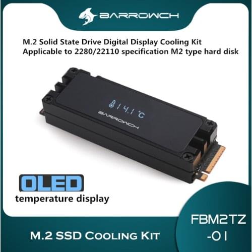 Barrowch M.2 SSD Heatsink Cooling Kit Hard Drive radiator for 2280 \ 22110 M.2 SSD computer Temperature DISPLAY FBM2TZ-01