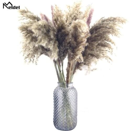 Meldel 7 Pcs Pampas Grass Real Dried Plants Decor Wedding Bouquet Flower Bunch Natural Plants Decor Flowers Natural Plants