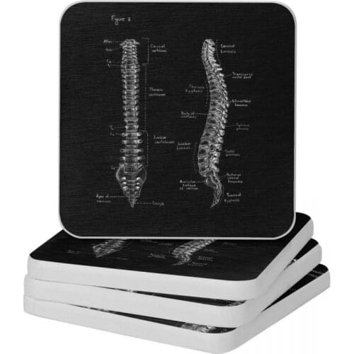 Spine Anatomy On Chalkboard Diatomite Square Round Coaster Non-slip Cup Bonsai Mat Soap Toothbrush Pad 10x10cm