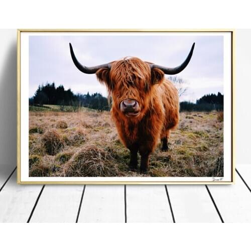 Highland Cow Canvas Art Posters and Prints Wall Art Painting Wall Pictures for Living Room Decoration Freedom Street Walker