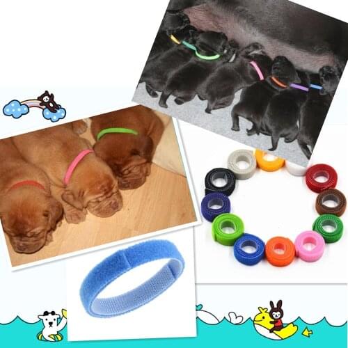 12Pcs Pet Dog Collar Newborn Dogs Adjustable Puppy ID Collar Reusable Breeders Collars Pet Accessories ошейник для собак