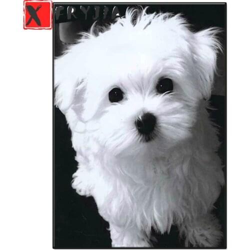 5D diamond Mosaic white Maltese dog Diamond Embroidery Cross Stitch DIY Diamond Painting square drill picture rhinestone decor