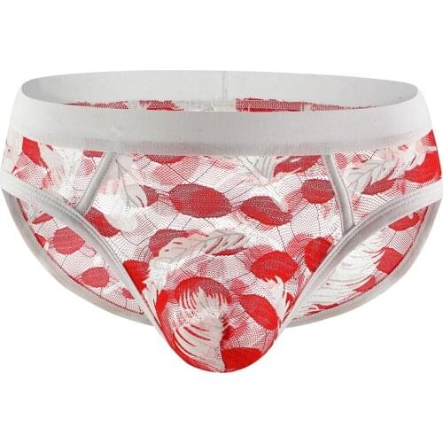 Mens Briefs Sexy Low Rise See Through Breathable Underpants Printing Pattern Male Underwear Nylon Casual Panties Briefs