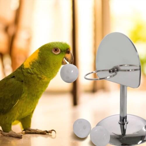 1Set Pet Bird Chew Toys Parrot Basketball Hoop Prop Trick Tabletop Ring Mini Parakeet Intelligence Training Toys Supplies