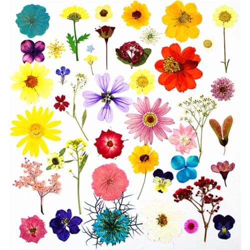 38pcs/lot,Natural Pressed flowers petals collection,Eternal petals DIY Wedding invitation Bookmark Card,Flores Facial Decoration