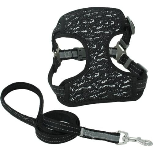 Cavandon Collars, Harnesses And Leashes
