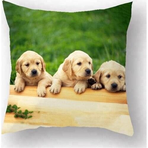 Dog animal image loyal Square Shape polyester Handmade Cushion cover