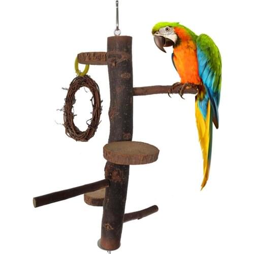 Pet Parrot Bird Standing Stick Wood Pole Bird Cockatiel Parakeet Perches Bite Claw Grinding Toy Stand Pole Bird Cage Accessories