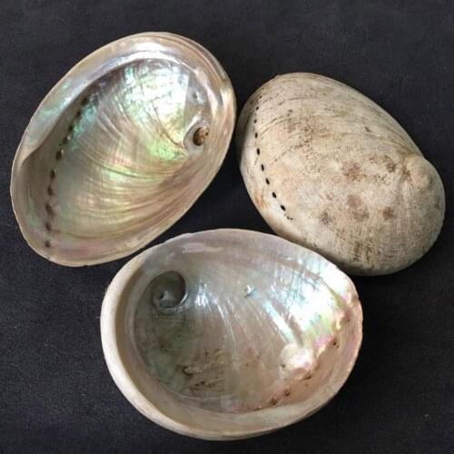 KITPIPI Designer Original Lamps