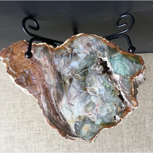 Natural stones and minerals crystal woodstone fossil tree for coaster home decoration fossil madagascar cup cushion