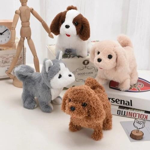 YLNNZZ Interactive Toys China