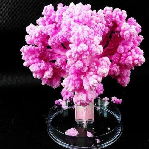 2019 14x11cm Pink Big Grow Paper Japanese Magic Sakura Tree Magically Growing Trees Kit Desktop Cherry Blossom Christmas 2PCS