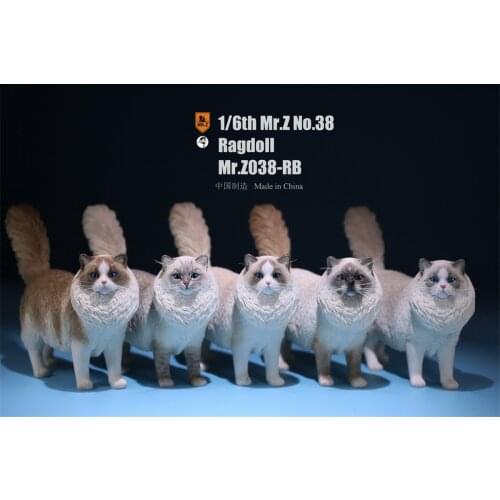 Mr.Z Studio 1:6 Ragdoll Figure Cute Cat Pet Animal Model Resin Collector Decoration Toy Decoration Ornaments Birthday Gift Doll
