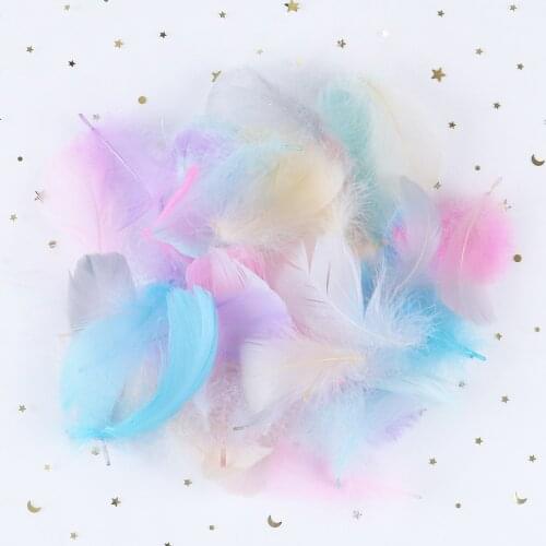 100pcs Natural Swan Feathers Soft Goose Plumes Dyed Warm Color Decorative Feather DIY Craft for Christmas Party Accessory