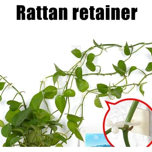 10pcs Plant Tomato Fixing Clips Invisible Wall Rattan Clamp Orchid Fixing Plant Climbing Wall Clips Plant Tie Garden Accessories