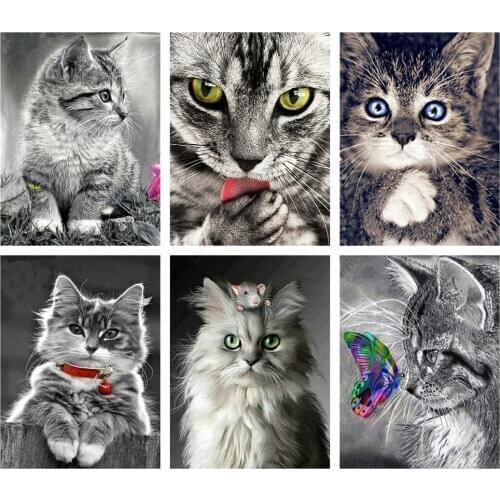 Diamond Painting Cat Full Square/Round Drill Beads Embroidery Painting Black White Animal Rhinestone Picture Home Decoration