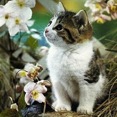 A13603 11CT/14CT/18CT/25CT/28CT oil scenery patterns Counted Cross Stitch DIY Cross Stitch Kits Embroidery Needlework Sets