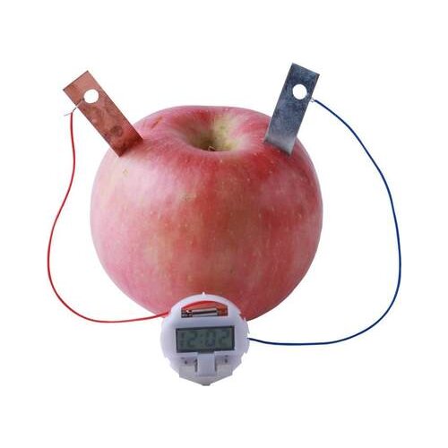 Scientific experimental equipment Fruit conduction experiment Fruit battery Technology mini production free shipping