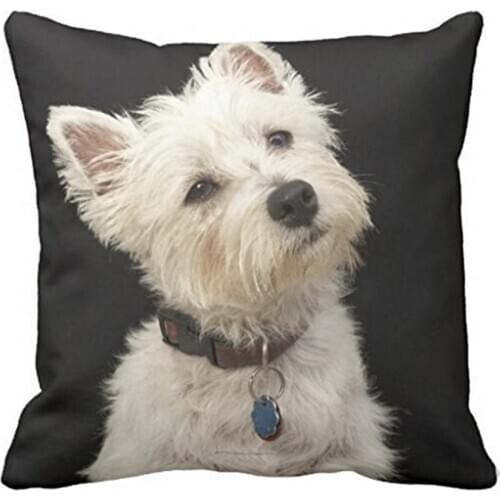 Westie West Highland Terrier With Collar Throw 1818 pillow Case