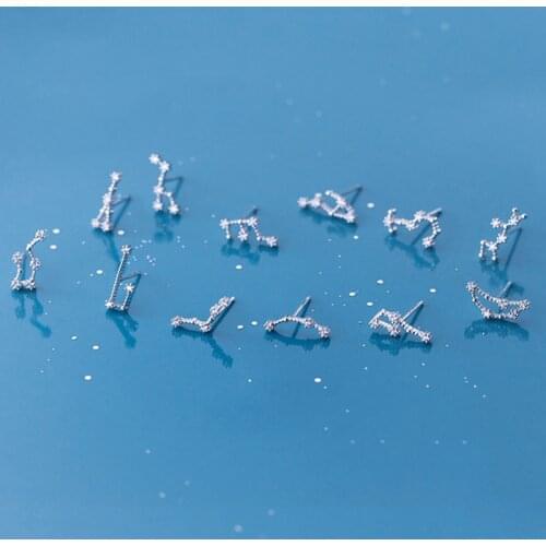 925 Sterling Silver AAA Cublic Zirconia Scorpio Taurus Twelve Constellation Zodiac Sign Stud Earrings Ear Piercing Jewelry