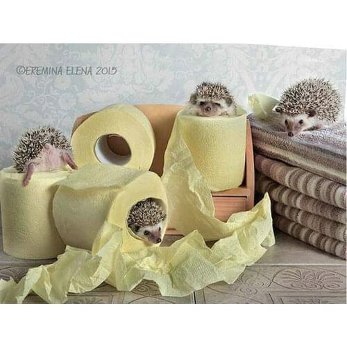 DIY 5D Diamond Painting Cross Stitch Mosaic Pattern Rhinestone Diamond Embroidery Hedgehog and toilet paper Home Decor