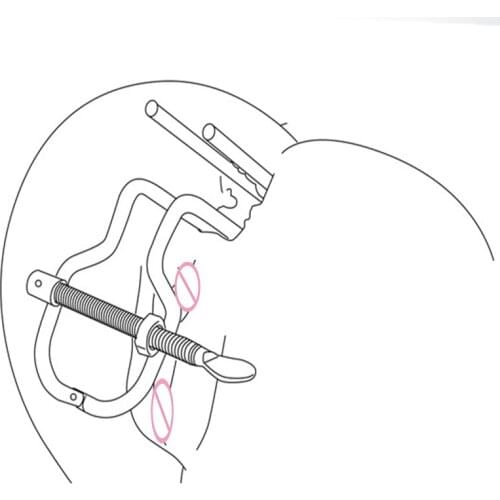 Butt Plugs 樱の语 China