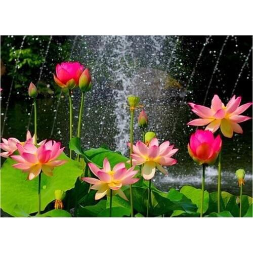 Kit 5D Diy Diamond Painting lotus 3D Diamond Mosaic Full Square/round Diamond Embroidery Flowers Christmas home decoration TY868