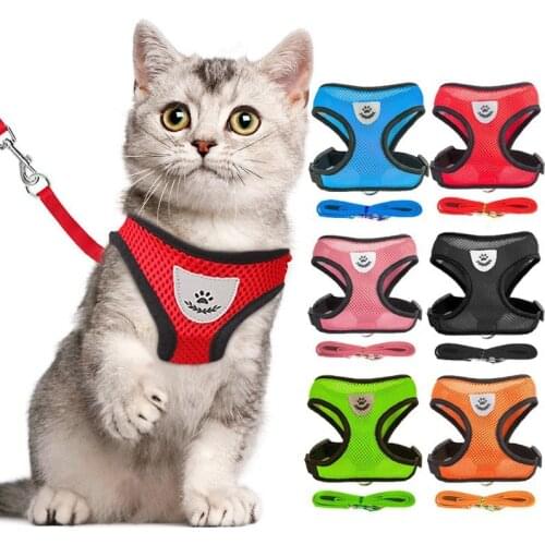 SONGYU Products For Cats