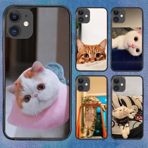 Cat Lovely Animal Phone Case For Iphone 11 6 Mini Pro XS Max X XR 6 12 Plus Soft TPU Cover 12Pro 11Pro 12Mini