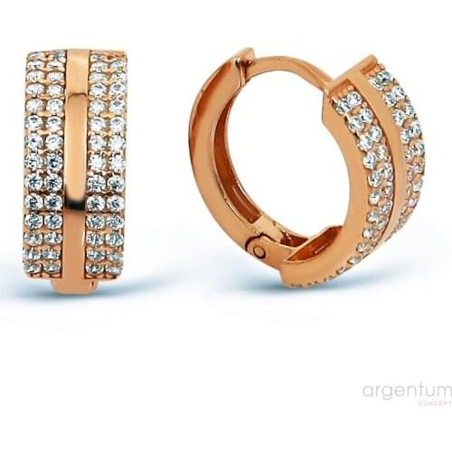 Argentum Concept-Zircon Silver Rose Ring Earrings