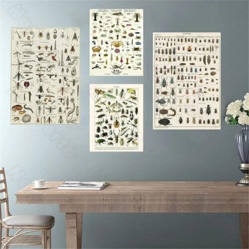 Modern Style Canvas Painting Various Insects Utiles Butterflies Dragonfies Poster and Print for Living Room Gallery Wall Decora