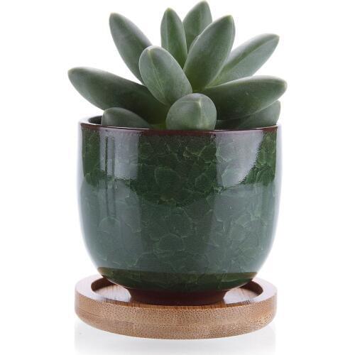 Ceramic Ice Crack Zisha Raised Serial Succulent Cactus Plant Pot Flower Pot Container Planter Dark Green Bamboo Trays