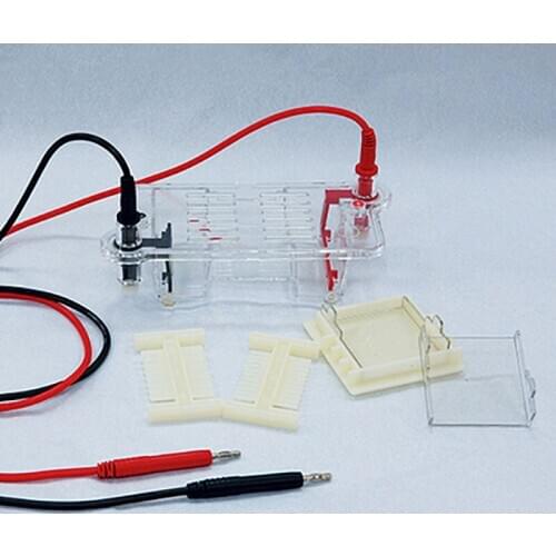 Agarose level electrophoresis instrument DNA nucleic acid electrophoresis instrument DYCP-31BN/CN/DN