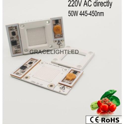 1pcs AC 220V 230V 240V High Power 50W led chip built-in driver Royal Blue 440-445nm LED chip for floodlight