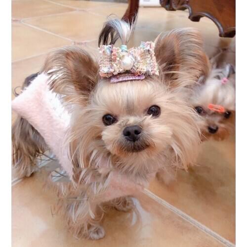 Pet Hairpin Grooming Pearl Bow Hairpin Frog Clip Hair Clip Frog Clip Teddy Maltese Shih Tzu Dog Clip 20PCS/LOT