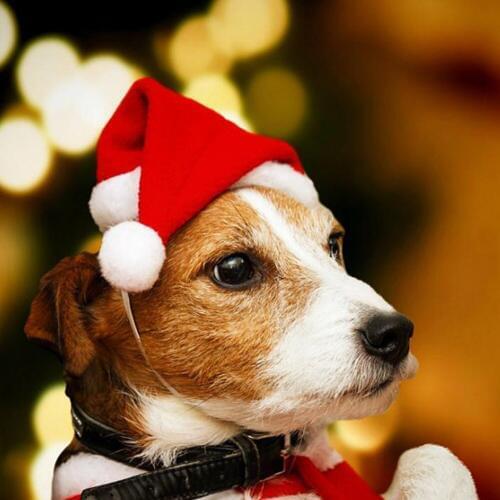 1PCS Winter Dog Red Santa Claus Christmas Hats Warm Puppy Hat with Ball Plush cloth Headwear for Puppy Xmas