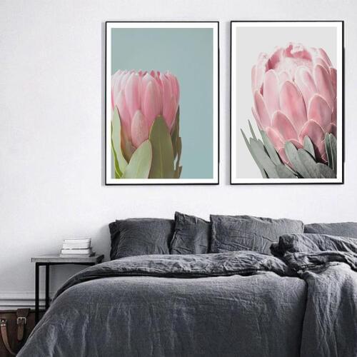 Flower Nordic Protea Posters and Prints Pink Floral Canvas Painting Modern Art Wall Pictures for Living Room Home Decor No Frame
