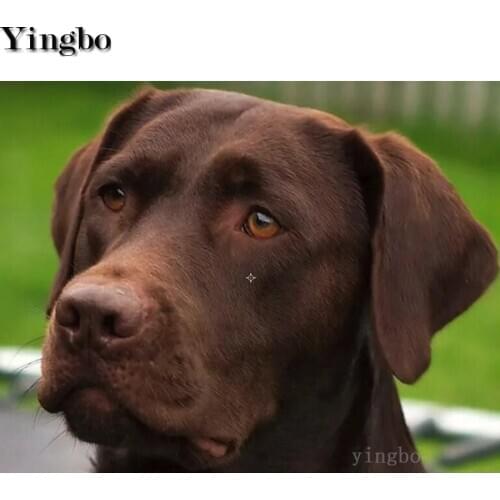 5d Diamond Painting Diamond Embroidery Labrador pet dog full Drill Square round Rhinestone Cross Stitch diamond mosaic decor new